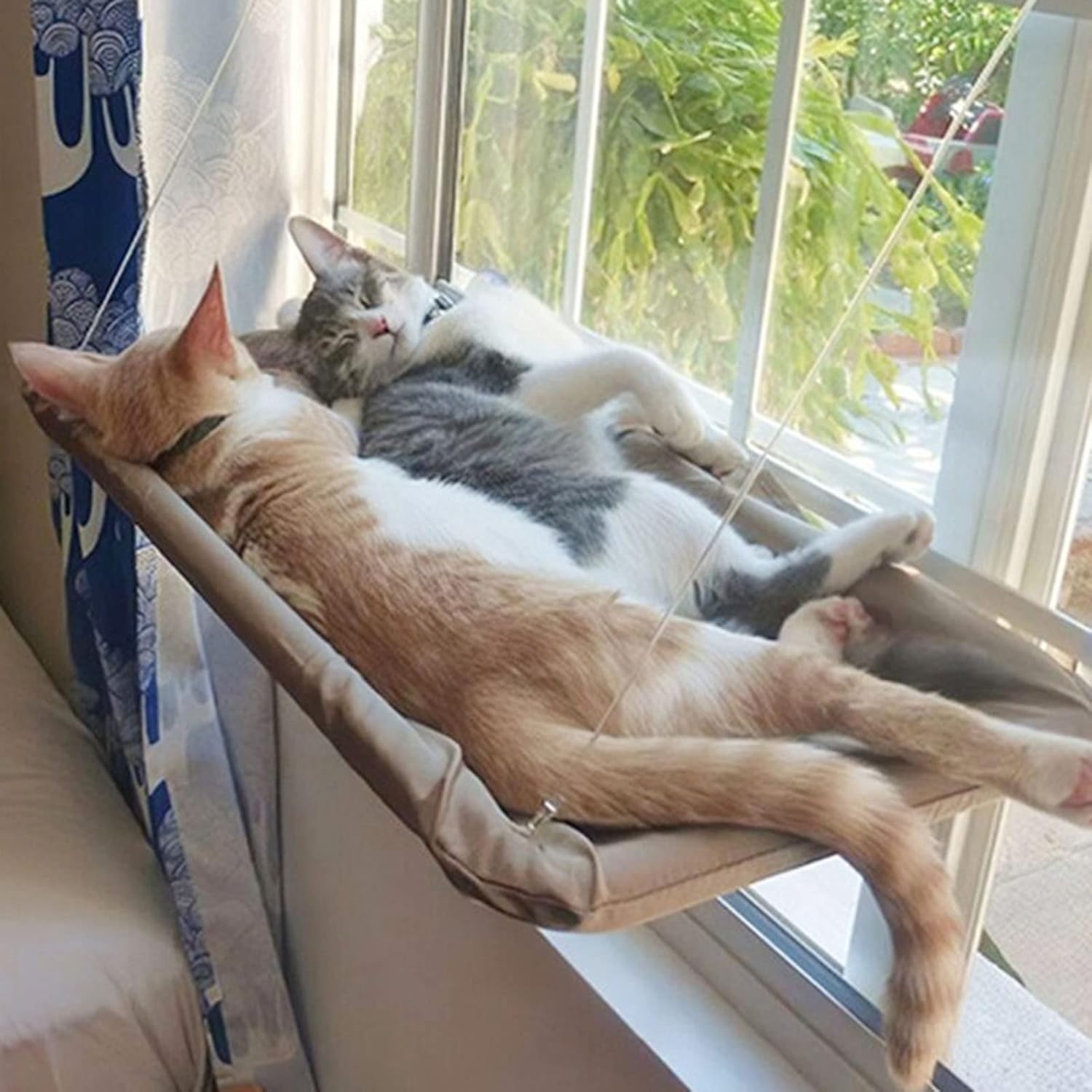 Sunny Window Hammock