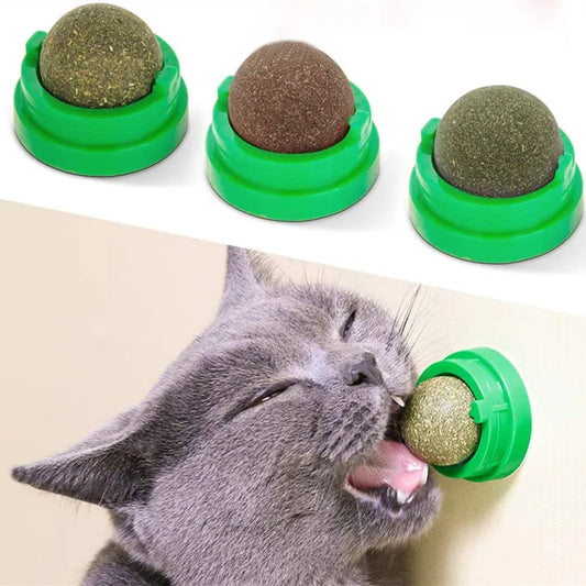 Catnip Wall Treat Ball