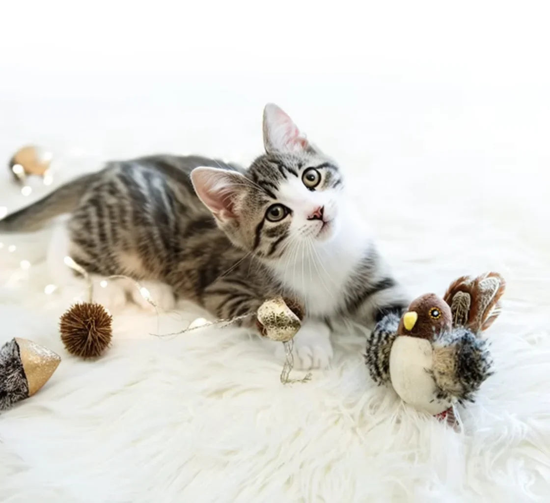 Flappy Sparrow Cat Toy