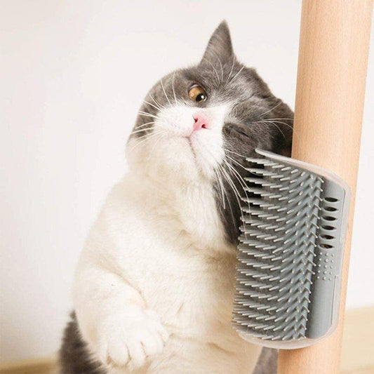 Purrfect Grooming Buddy